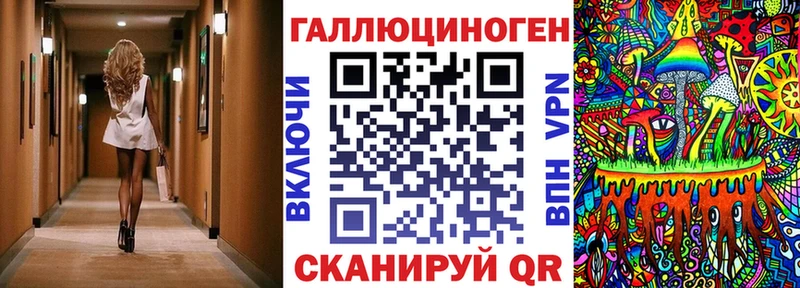 купить наркоту  Кудрово  Галлюциногенные грибы Psilocybe 